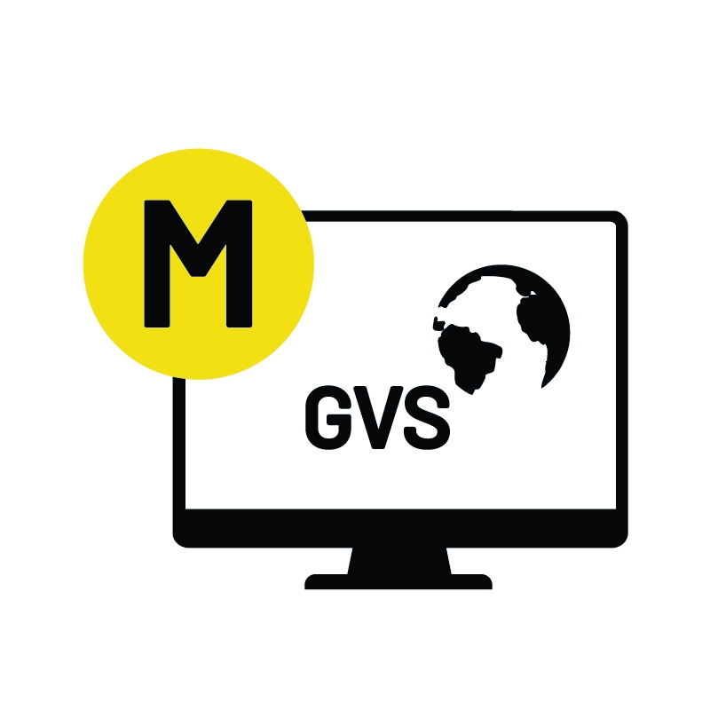 LCN-GVSM