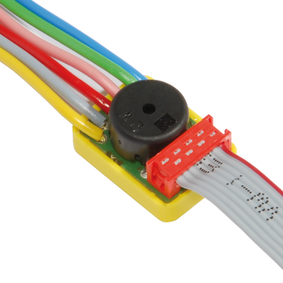 LCN-T8